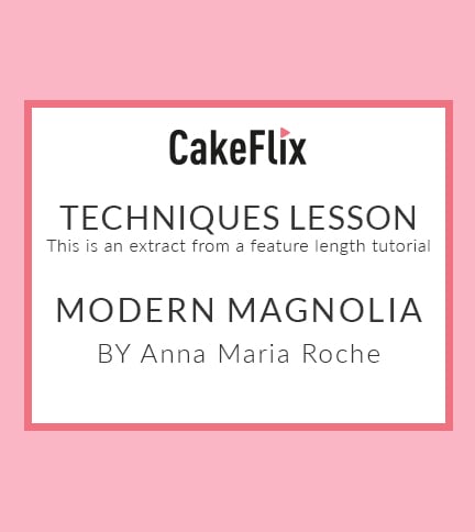 Modern magnolia