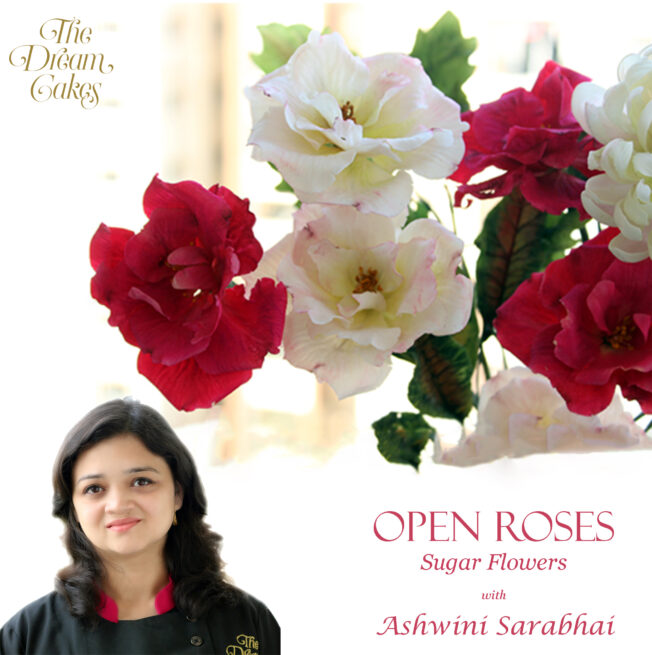 Open rose thumbnail