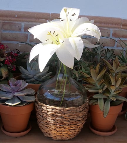 4 Different types of Wafer Paper Lilies – Bite Sized