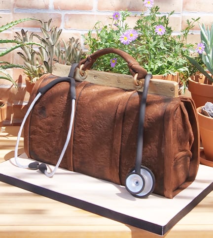 Doctor’s Medical Bag cake – Bite Sized
