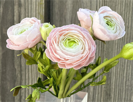 Ranunculus Sugar Flowers by Ashwini