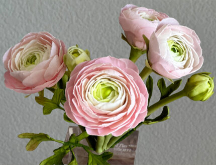 Ranunculus Sugar Flowers by Ashwini