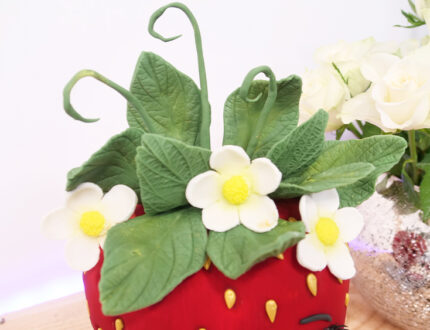 Mrs Strawberry Cake tutorial - husk